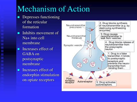 Mechanism of Action .